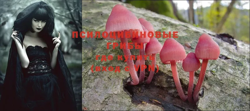 Псилоцибиновые грибы MAGIC MUSHROOMS  Киренск 